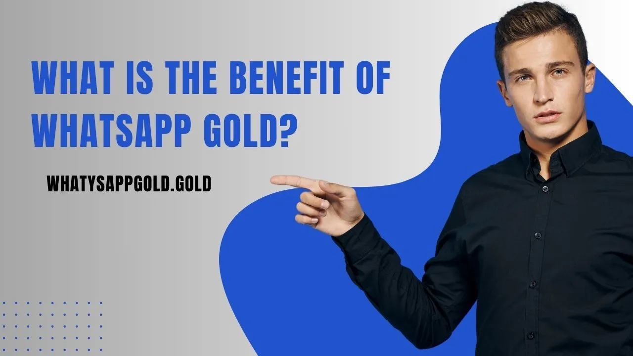 What is the benefit of Whatsapp gold?